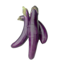Long Eggplant 500g