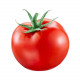 Cameron Tomatoes A Grade 1kg
