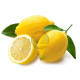 Lemon 1 Piece