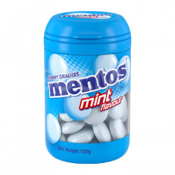 MENTOS Bottle Mint 120g