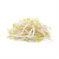 BEAN SPROUTS 500G