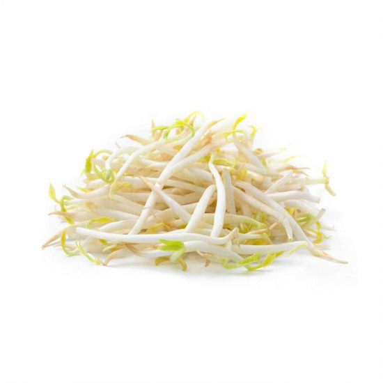 BEAN SPROUTS 500G